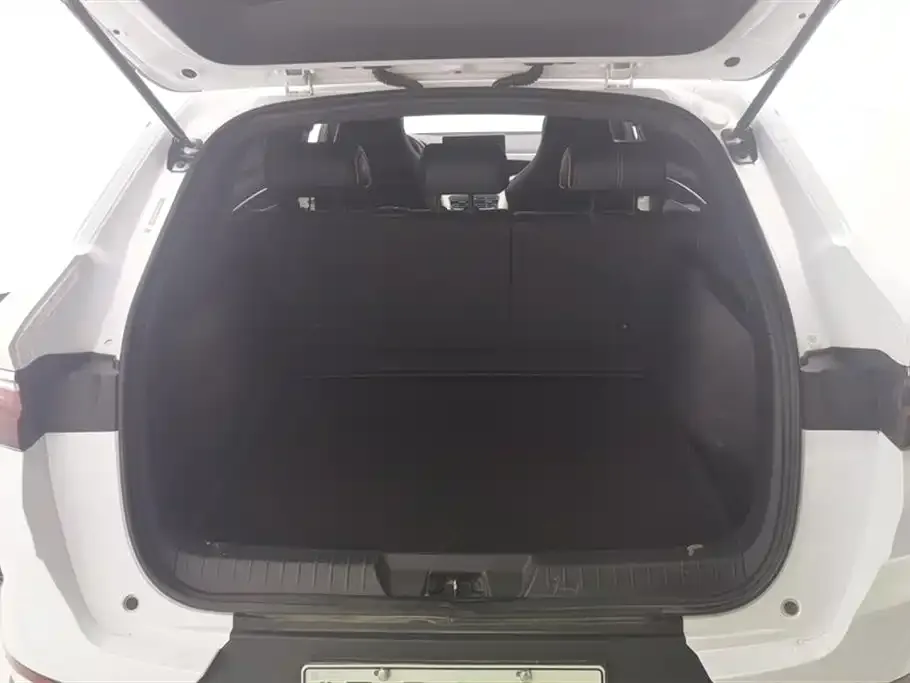 BYD PLUS New Energy 2022 из CN, фото 9