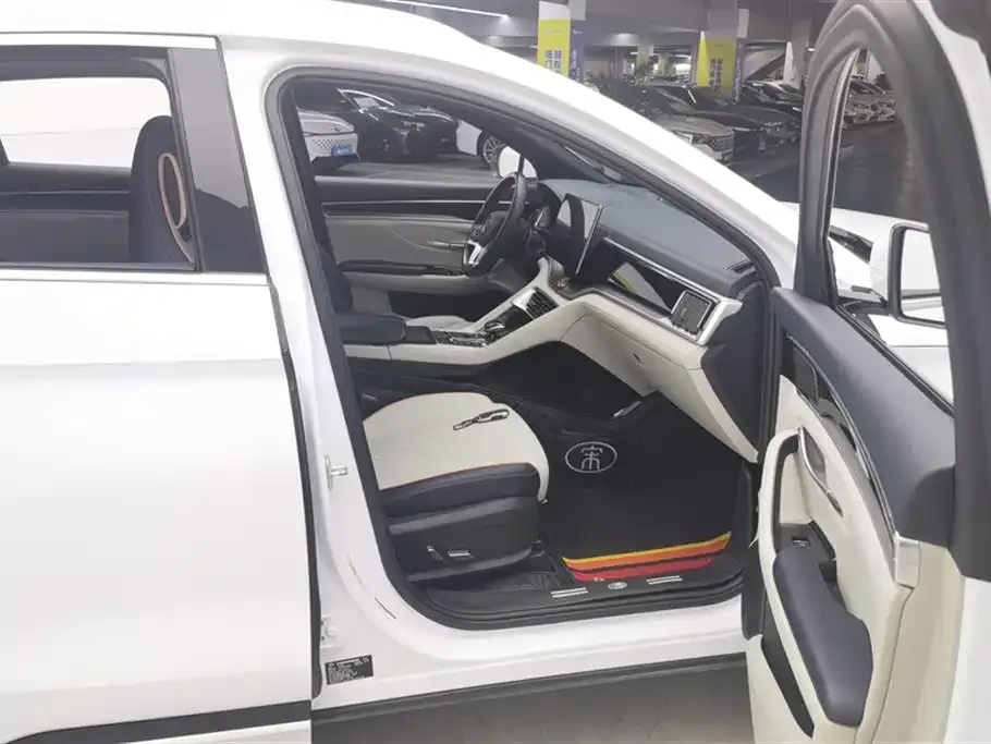 BYD PLUS New Energy 2022 из CN, фото 2