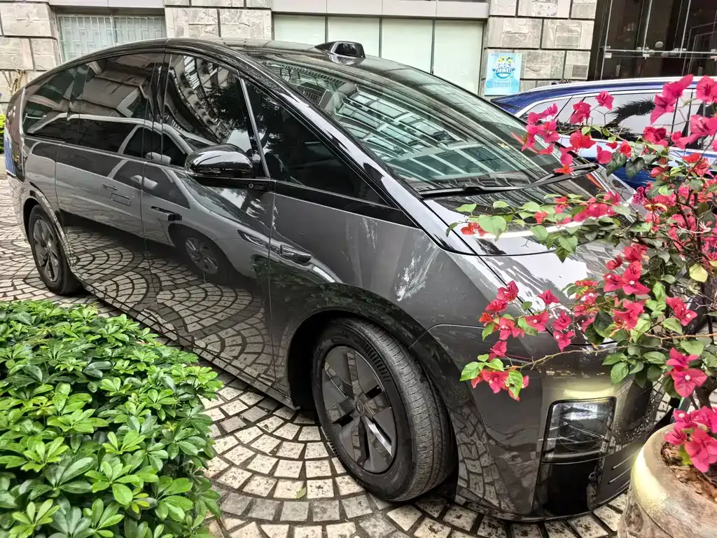 Li Auto MEGA 2024 из CN, фото 7