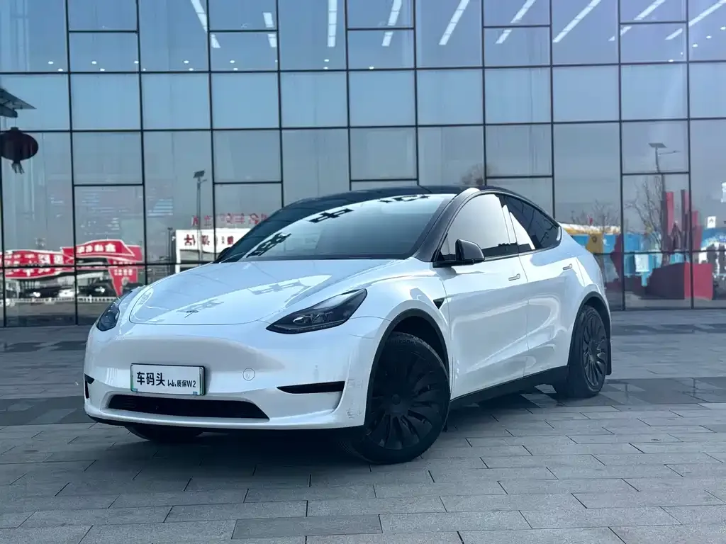 Tesla Model Y 2022 из CN, фото 1