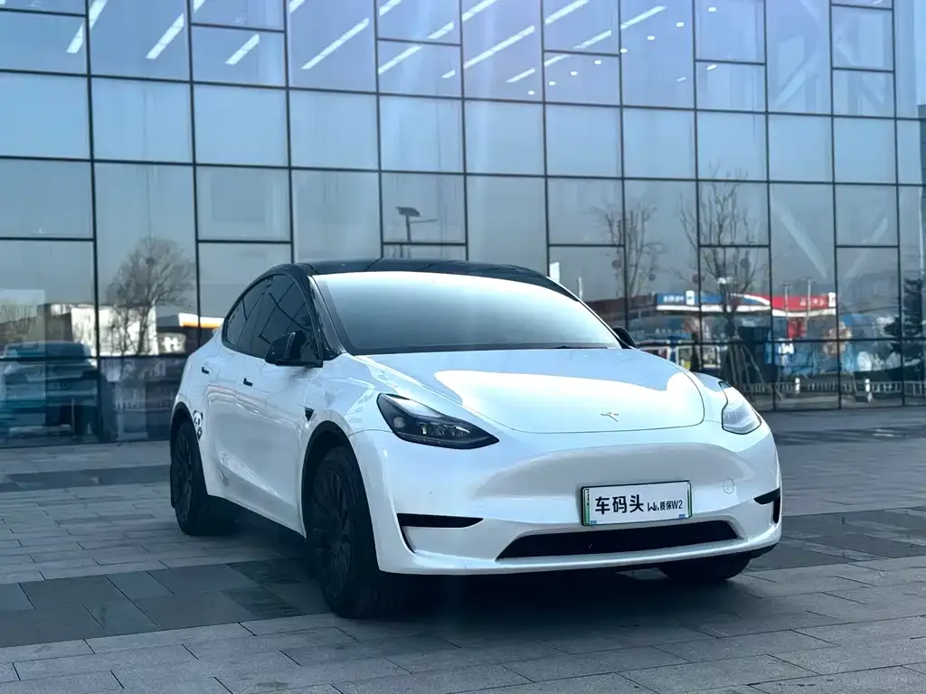 Tesla Model Y 2022 из CN, фото 6