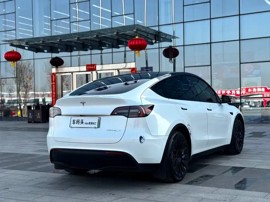 Tesla Model Y 2022 из CN, фото 5