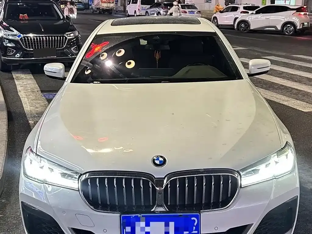 BMW 5 Series 2022 из CN, фото 9