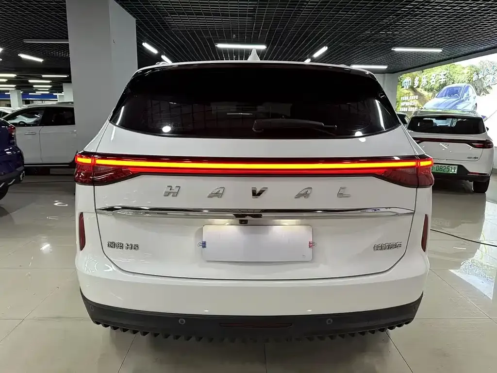 Haval H6 2021 из CN, фото 8