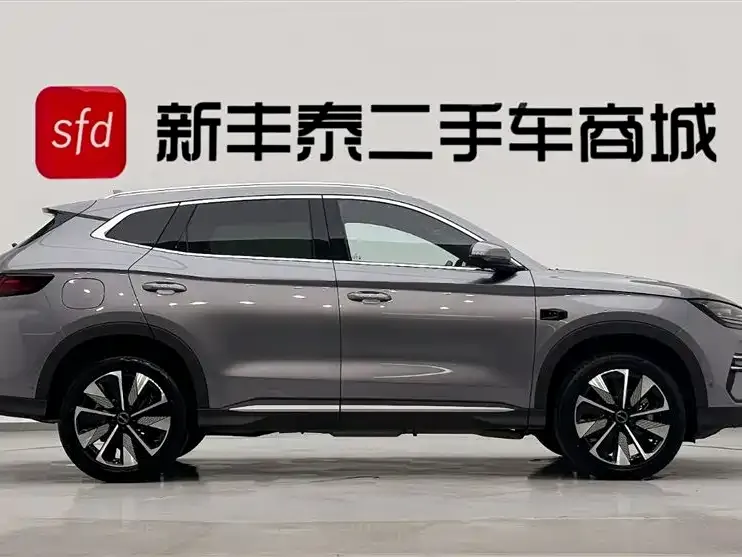BYD PLUS New Energy 2025 из CN, фото 9