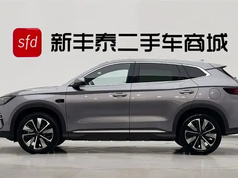 BYD PLUS New Energy 2025 из CN, фото 8
