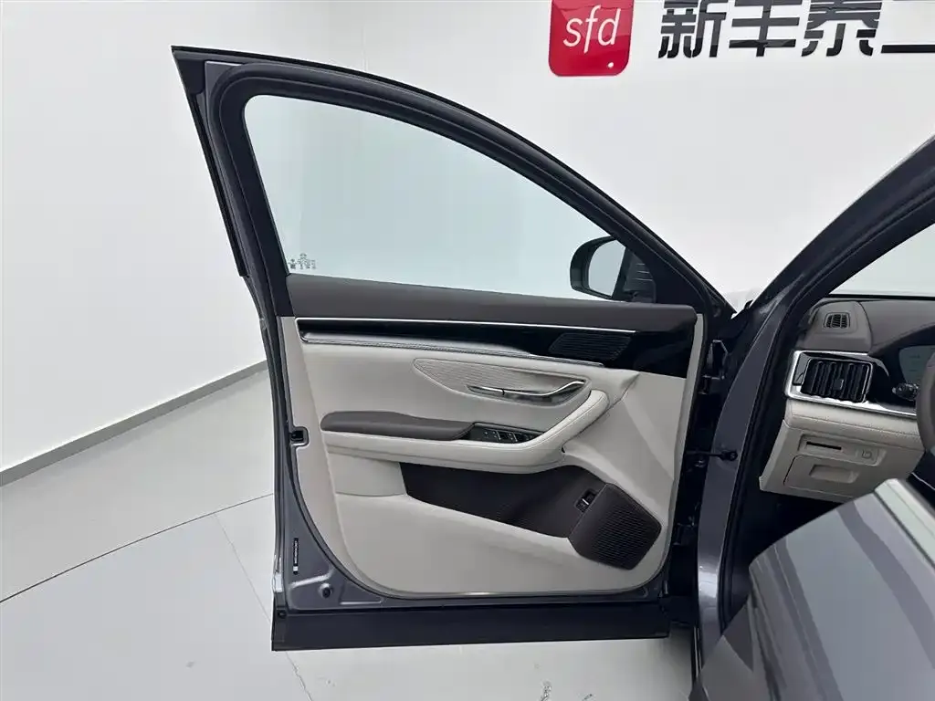 BYD PLUS New Energy 2025 из CN, фото 5
