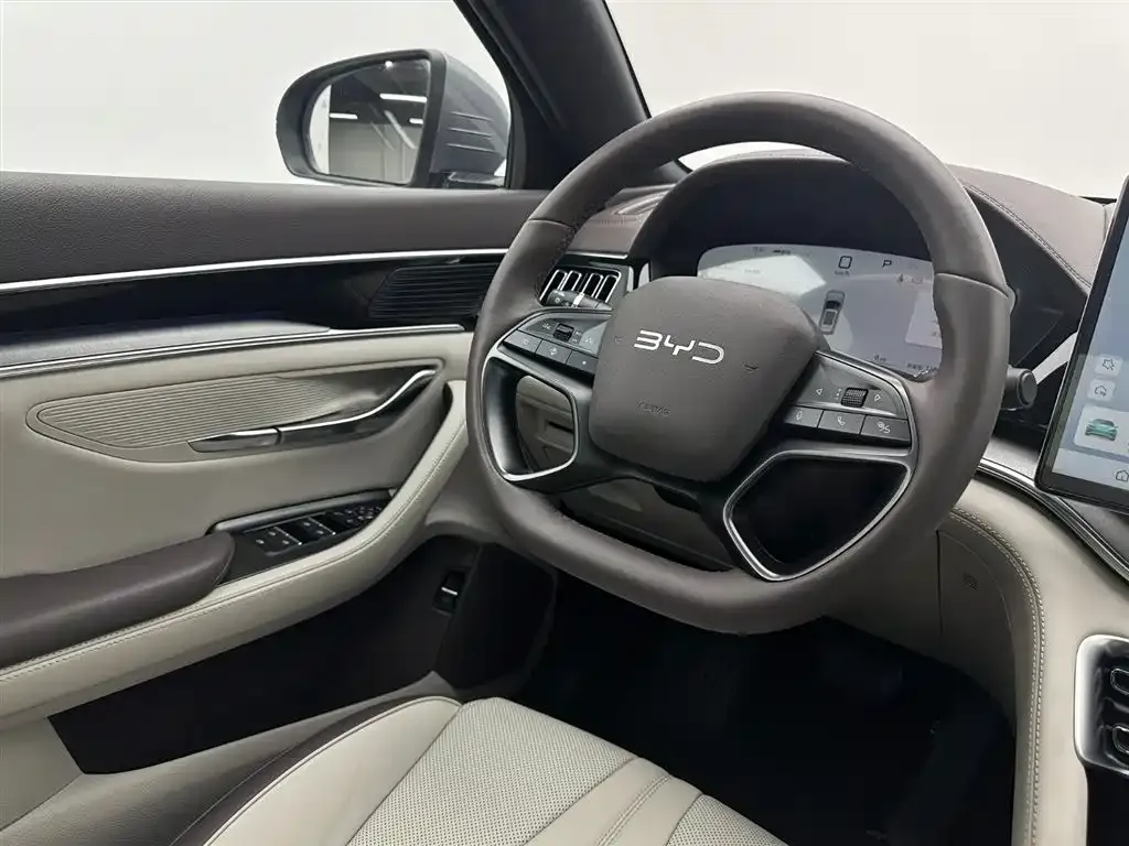 BYD PLUS New Energy 2025 из CN, фото 7