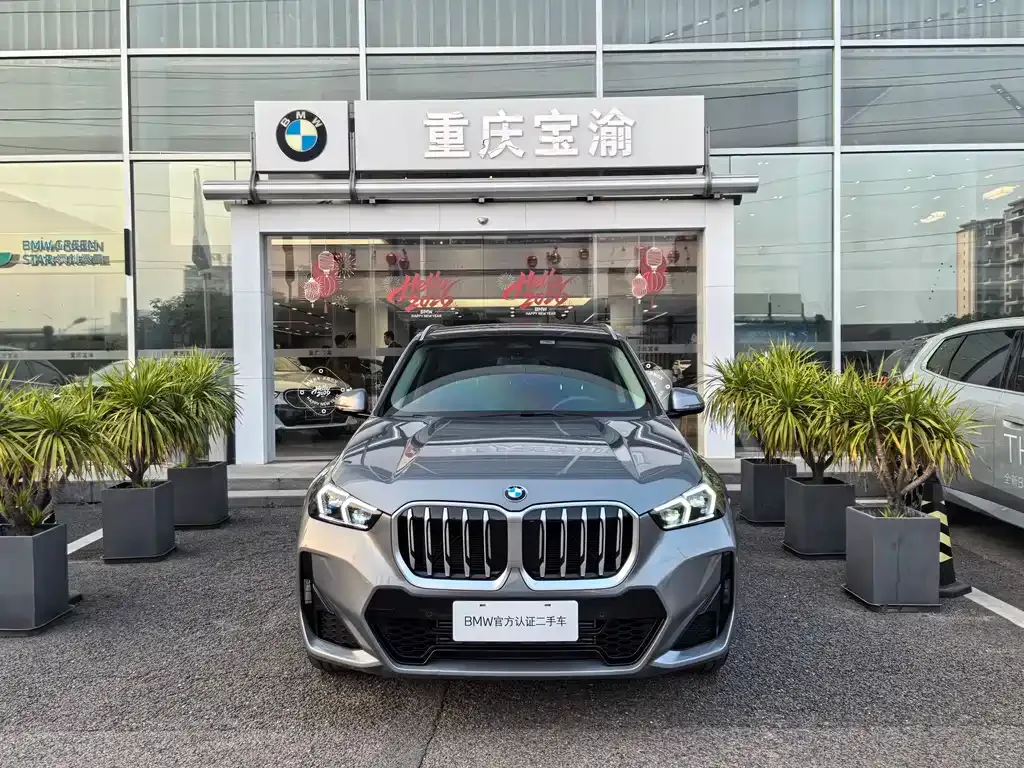 BMW X1 2024 из CN, фото 10