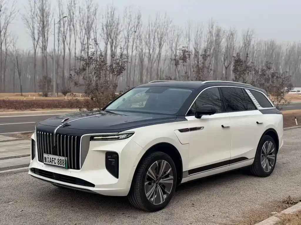 Hongqi E-HS9 2021 из CN, фото 1