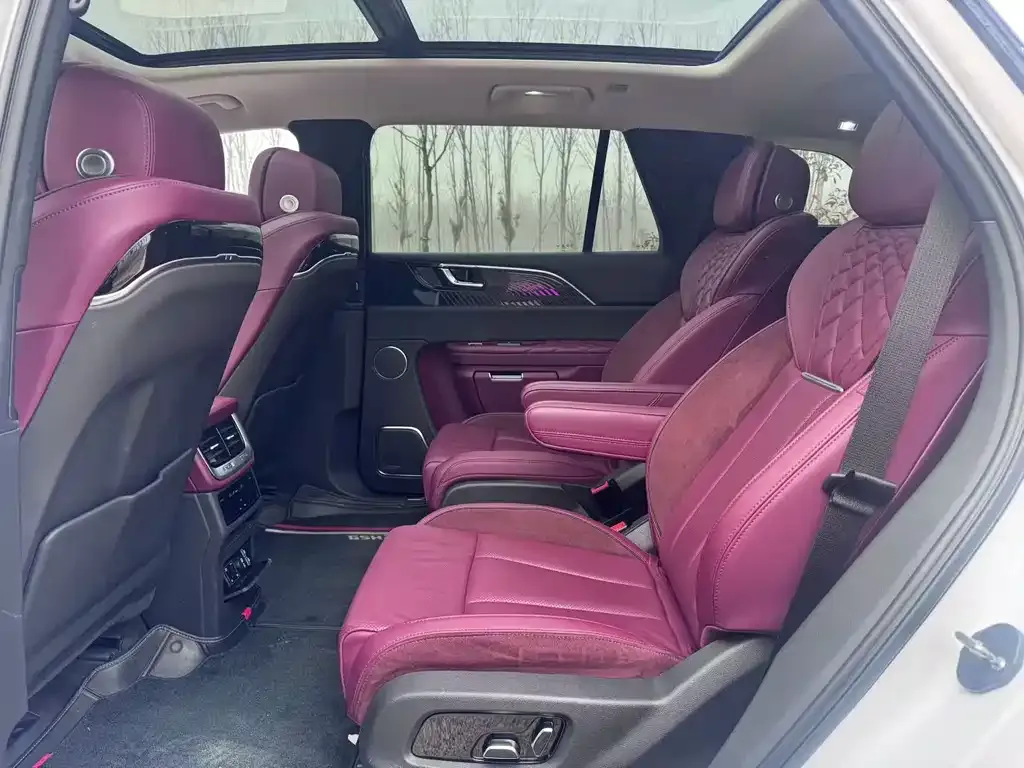 Hongqi E-HS9 2021 из CN, фото 7