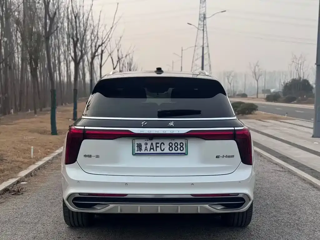 Hongqi E-HS9 2021 из CN, фото 6