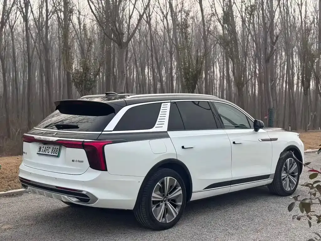 Hongqi E-HS9 2021 из CN, фото 8