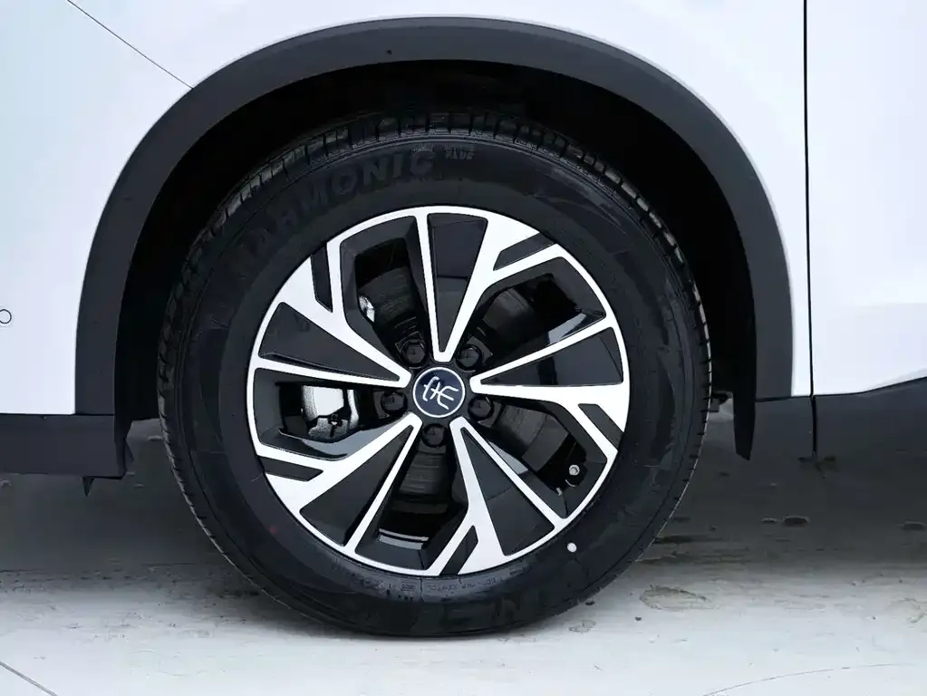 BYD Pro New Energy — фото 2