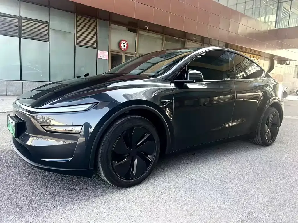Tesla Model Y 2025 из CN, фото 6