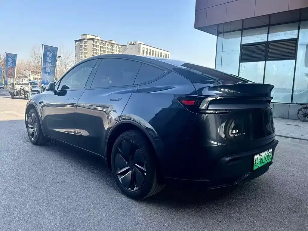 Tesla Model Y 2025 из CN, фото 5