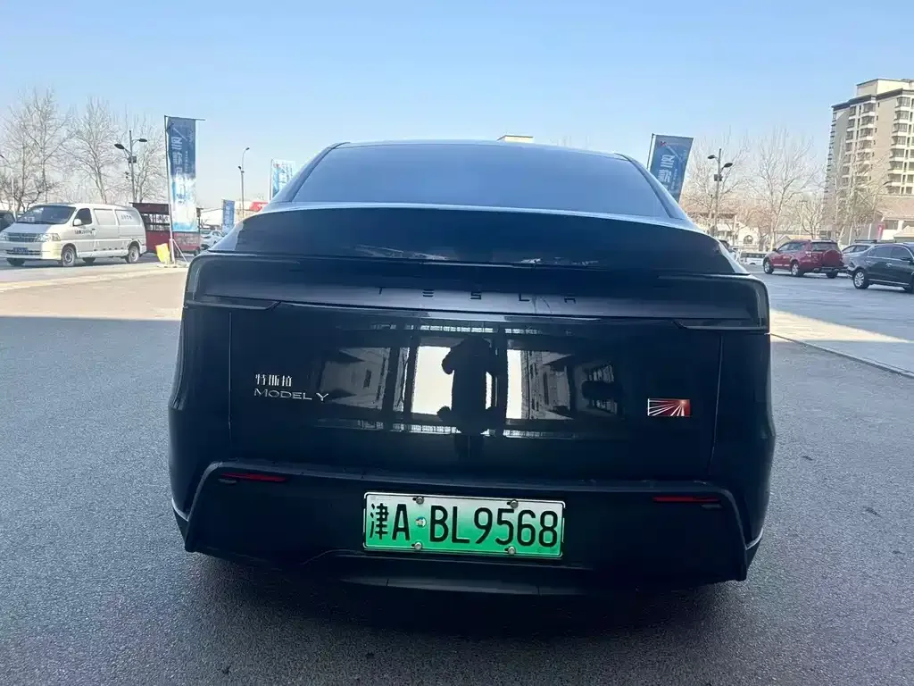 Tesla Model Y 2025 из CN, фото 8