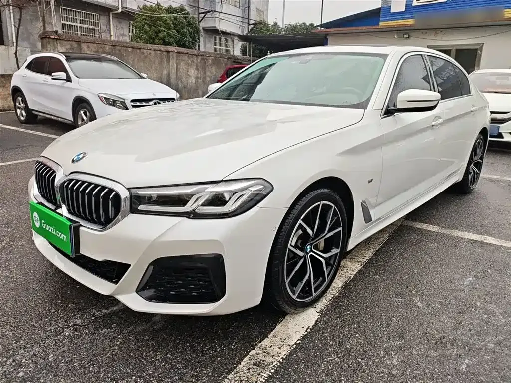 BMW 5 Series 2021 из CN, фото 1