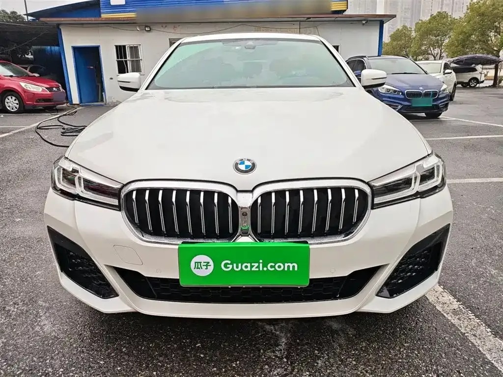 BMW 5 Series 2021 из CN, фото 7