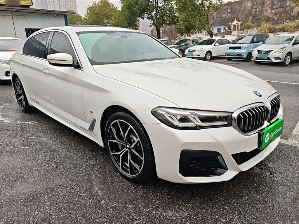 BMW 5 Series 2021 из CN, фото 8