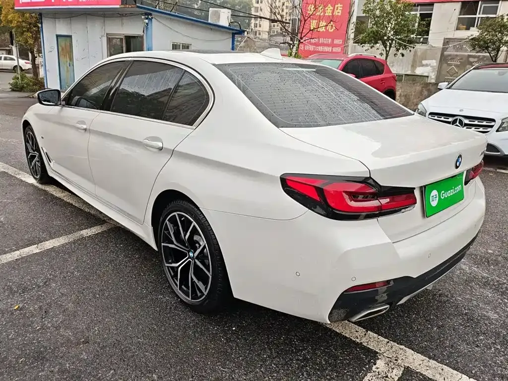 BMW 5 Series 2021 из CN, фото 9