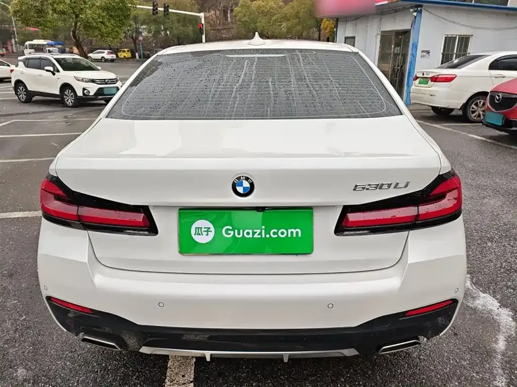 BMW 5 Series 2021 из CN, фото 4