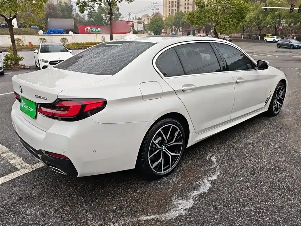 BMW 5 Series 2021 из CN, фото 6