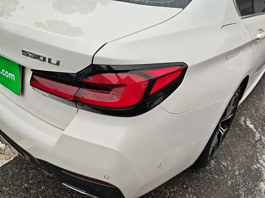 BMW 5 Series 2021 из CN, фото 3
