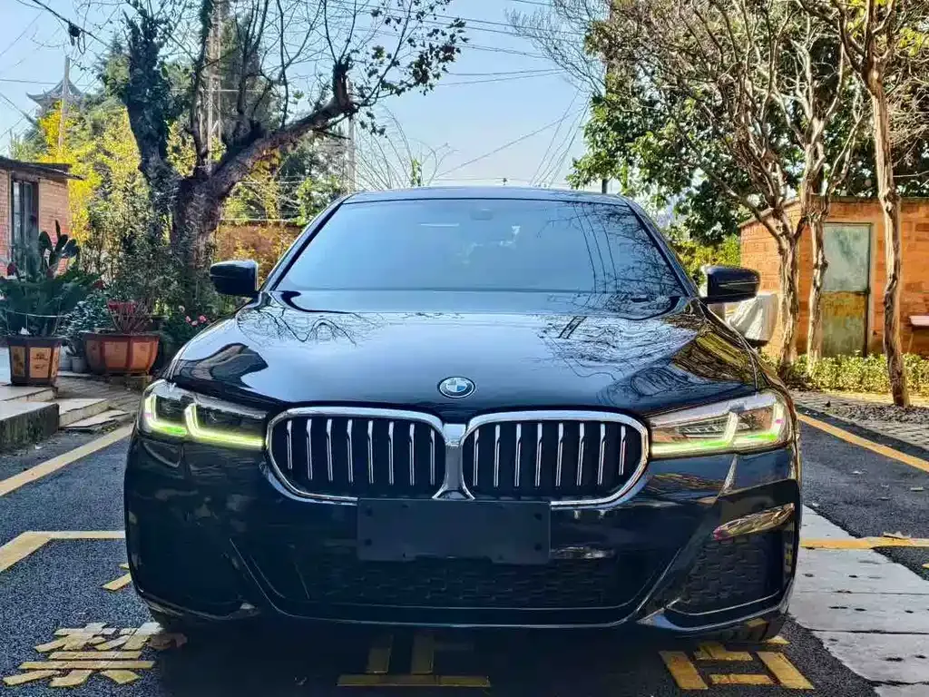 BMW 5 Series 2023 из CN, фото 1