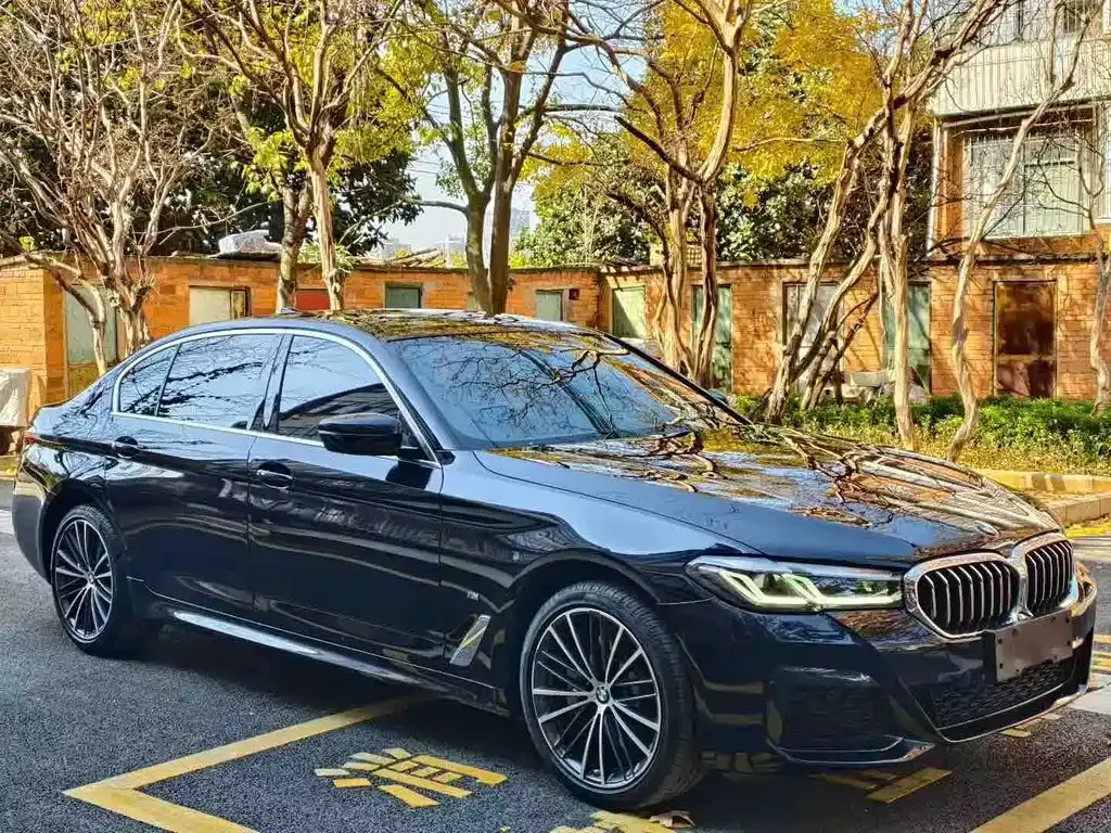 BMW 5 Series 2023 из CN, фото 5
