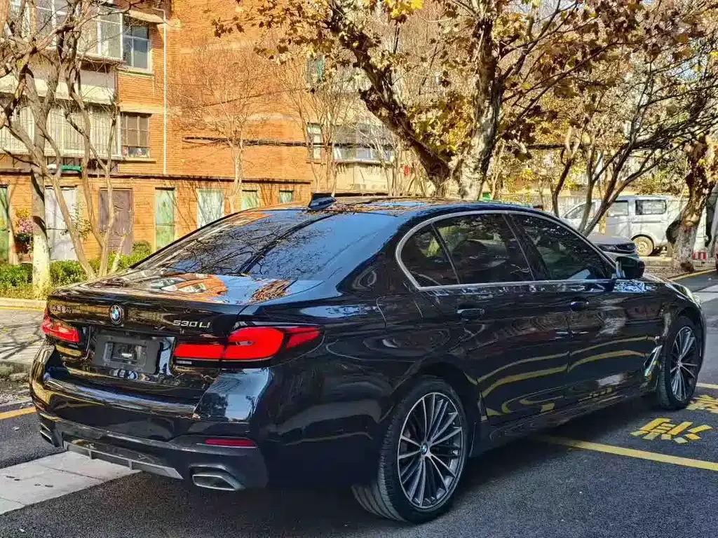 BMW 5 Series 2023 из CN, фото 3