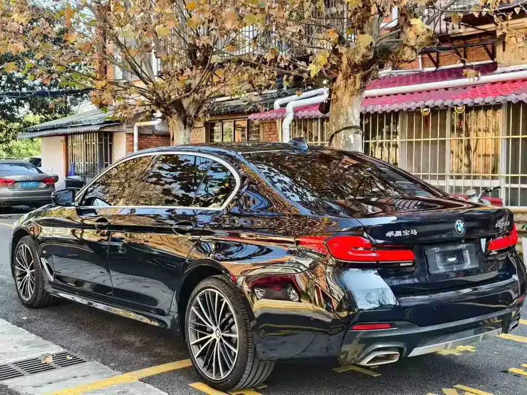 BMW 5 Series 2023 из CN, фото 6