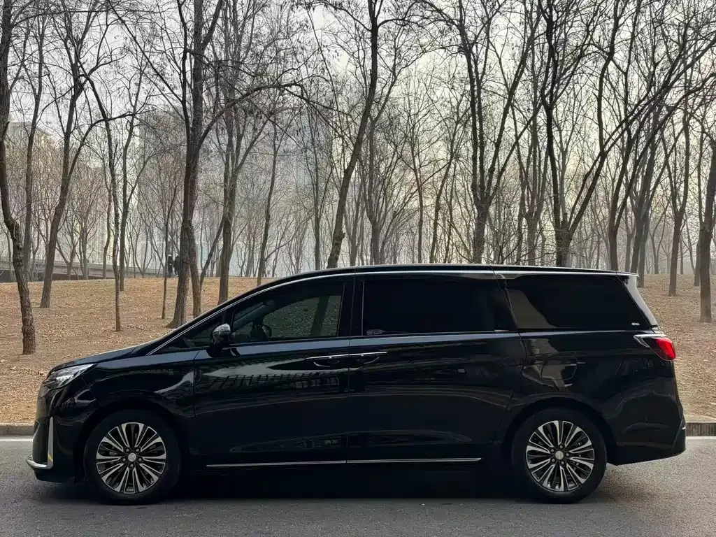 Buick GL8 2023 из CN, фото 9