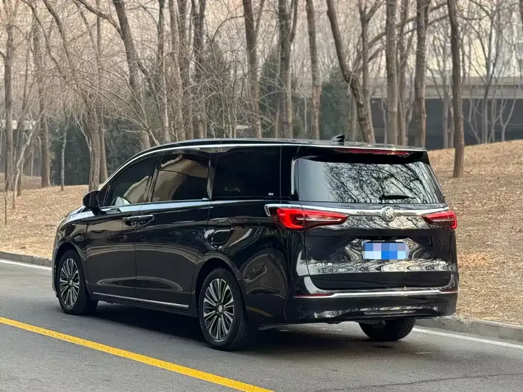 Buick GL8 2023 из CN, фото 10