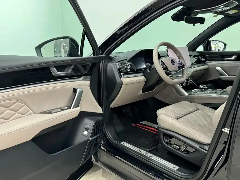 BYD Tang New Energy 2025 из CN, фото 9