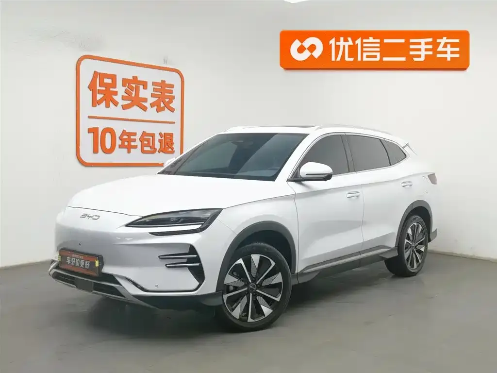 BYD PLUS New Energy — фото 1