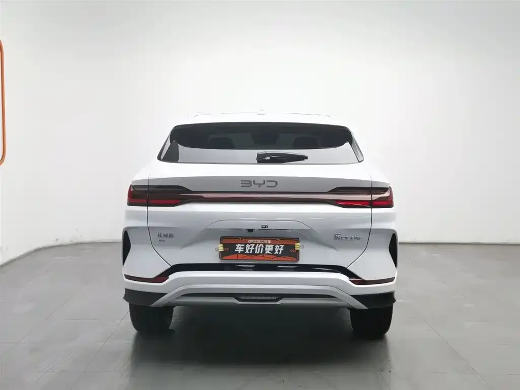 BYD PLUS New Energy — фото 3