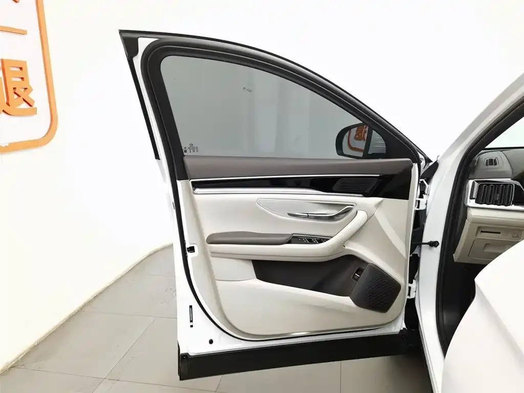 BYD PLUS New Energy — фото 7