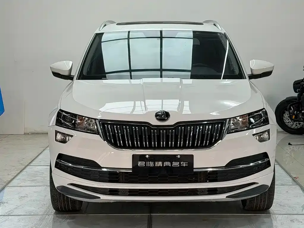 Skoda Karoq — фото 6