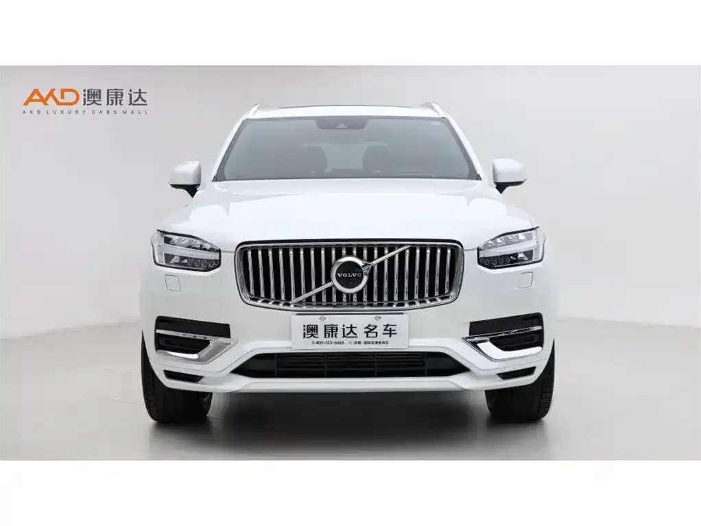 Volvo XC90 PHEV 2021 из CN, фото 7