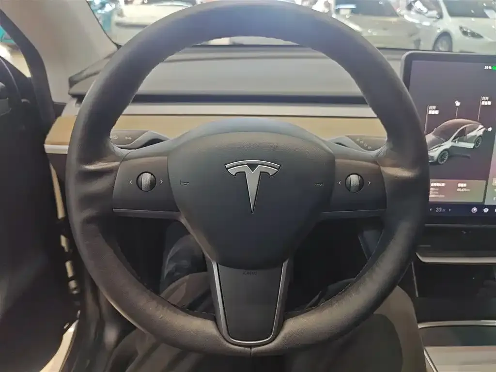 Tesla Model Y 2021 из CN, фото 9