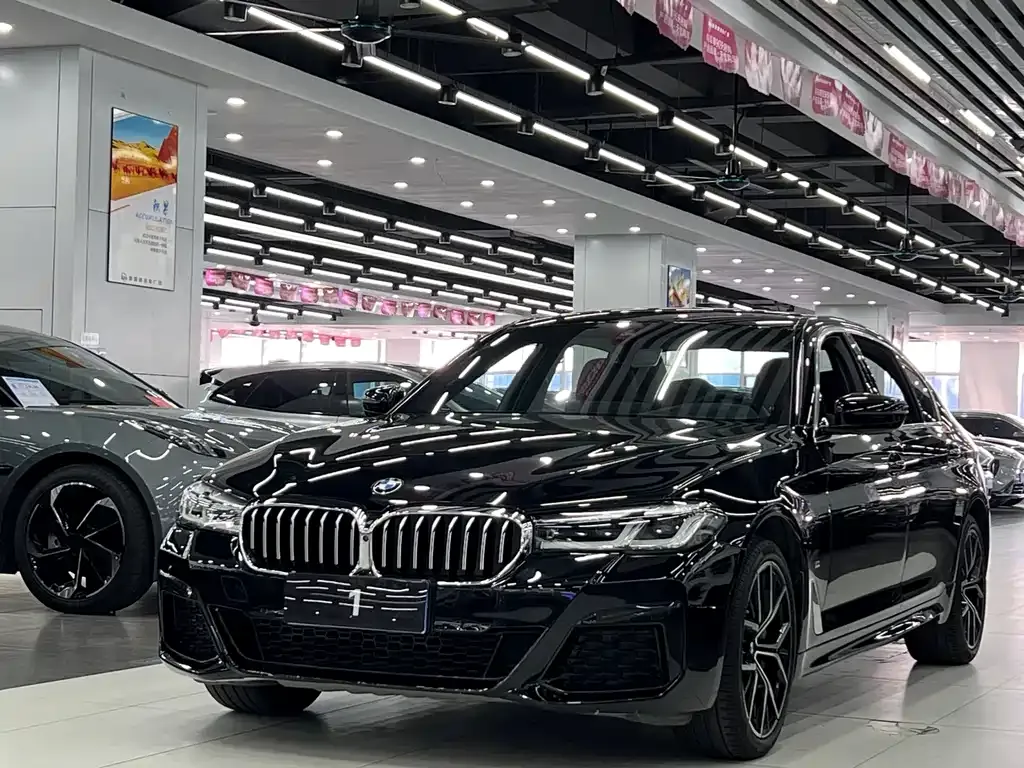 BMW 5 Series 2021 из CN, фото 1