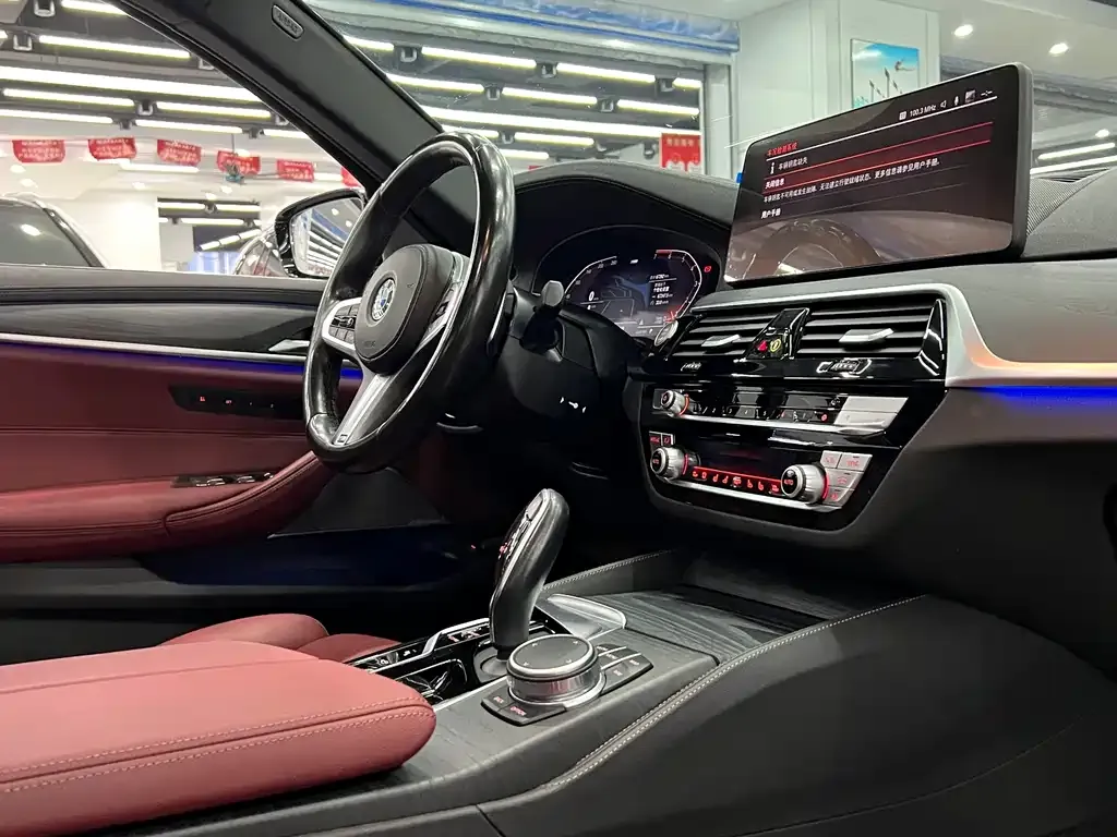 BMW 5 Series 2021 из CN, фото 6