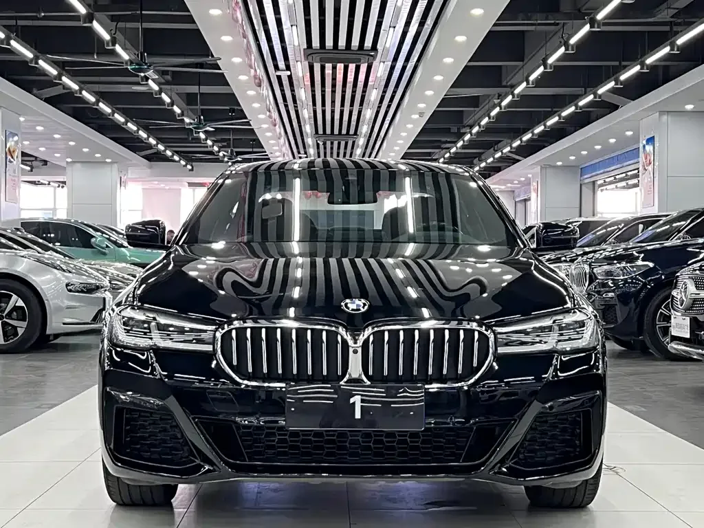 BMW 5 Series 2021 из CN, фото 9