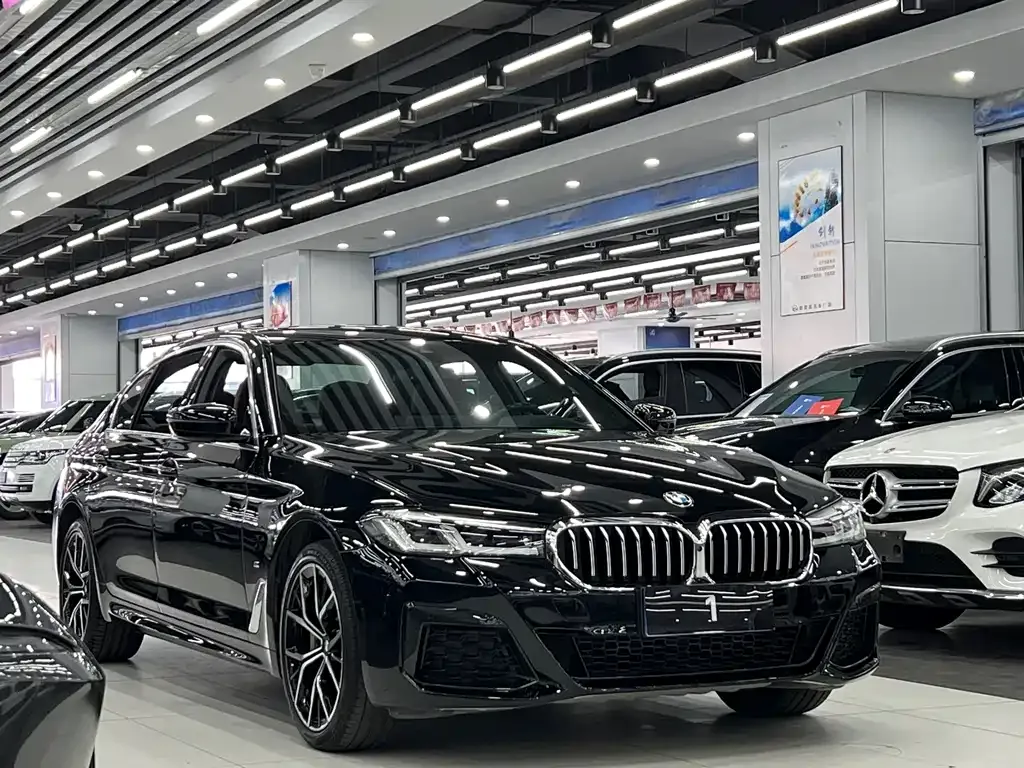BMW 5 Series 2021 из CN, фото 10