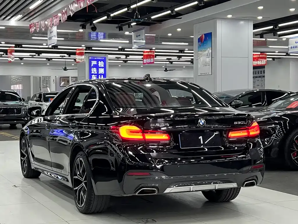 BMW 5 Series 2021 из CN, фото 7