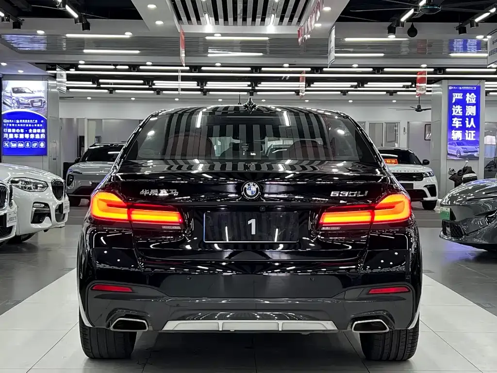 BMW 5 Series 2021 из CN, фото 4
