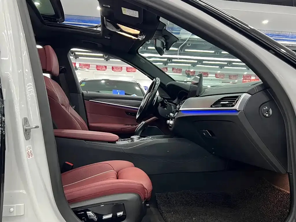 BMW 5 Series 2021 из CN, фото 8