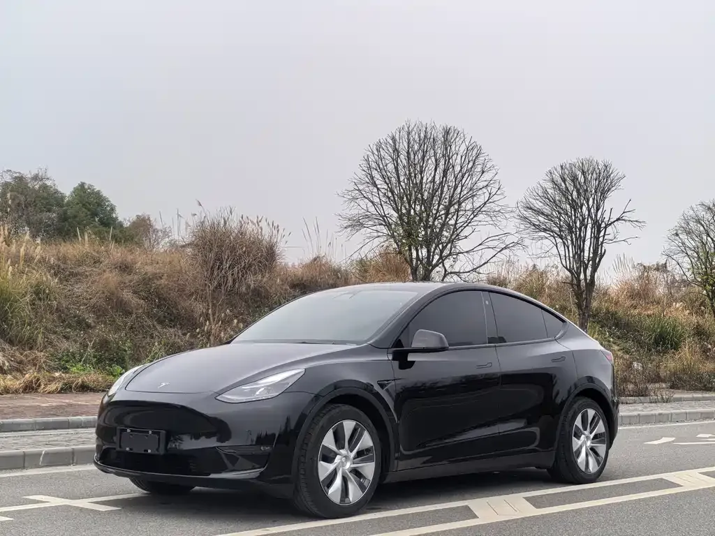 Tesla Model Y 2021 из CN, фото 1