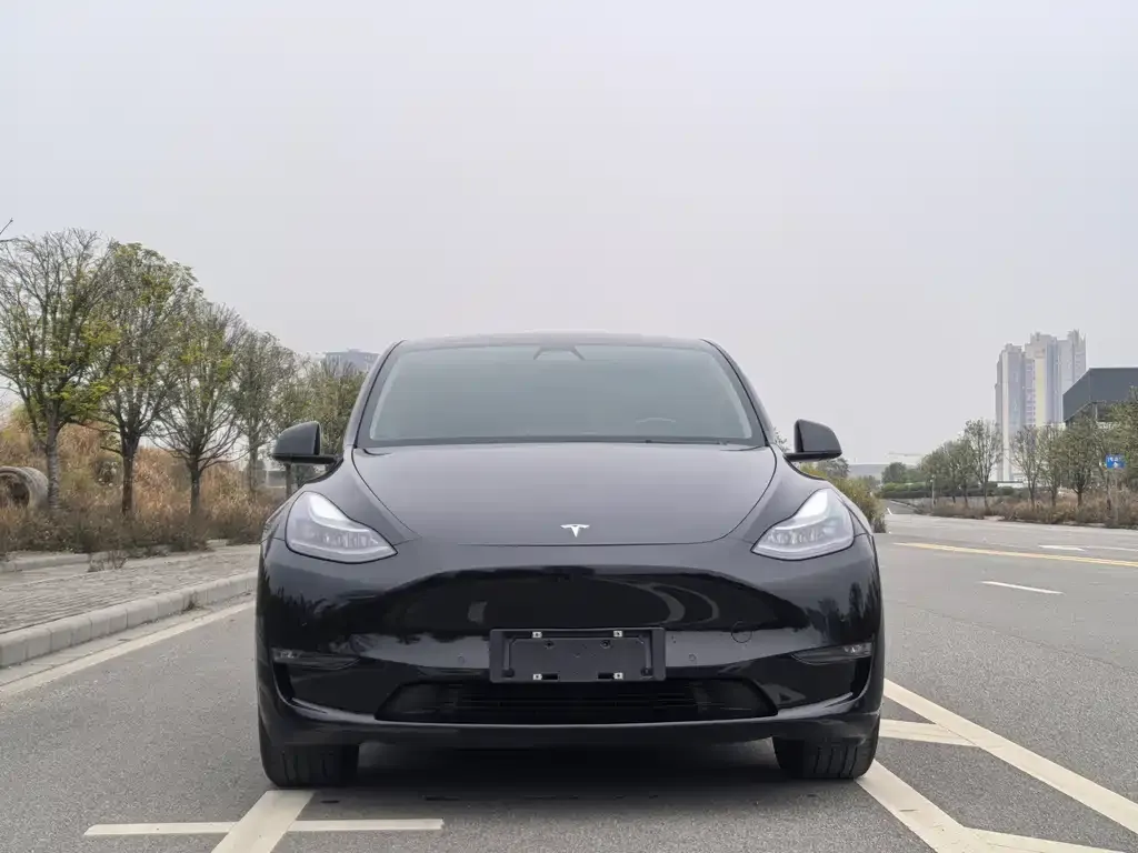 Tesla Model Y 2021 из CN, фото 3